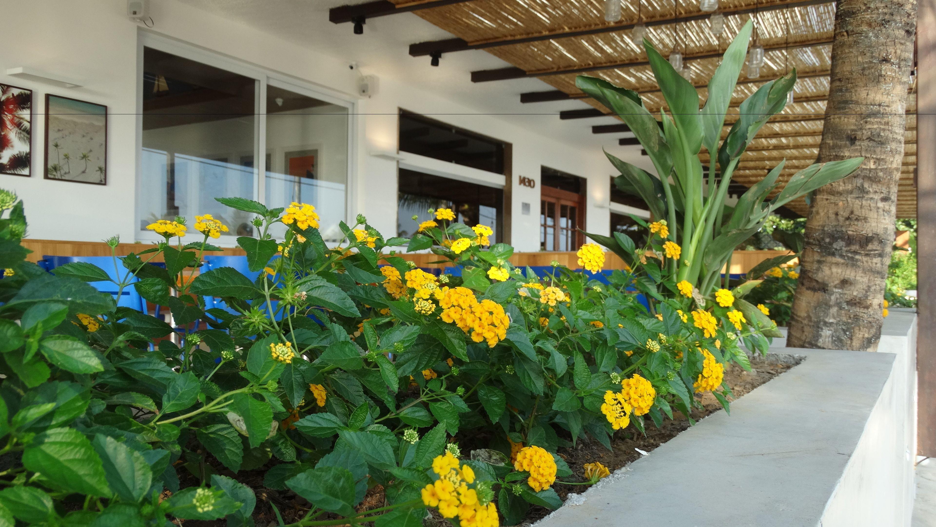 Hotel Praia Linda - Rio de Janeiro, Rio de Janeiro